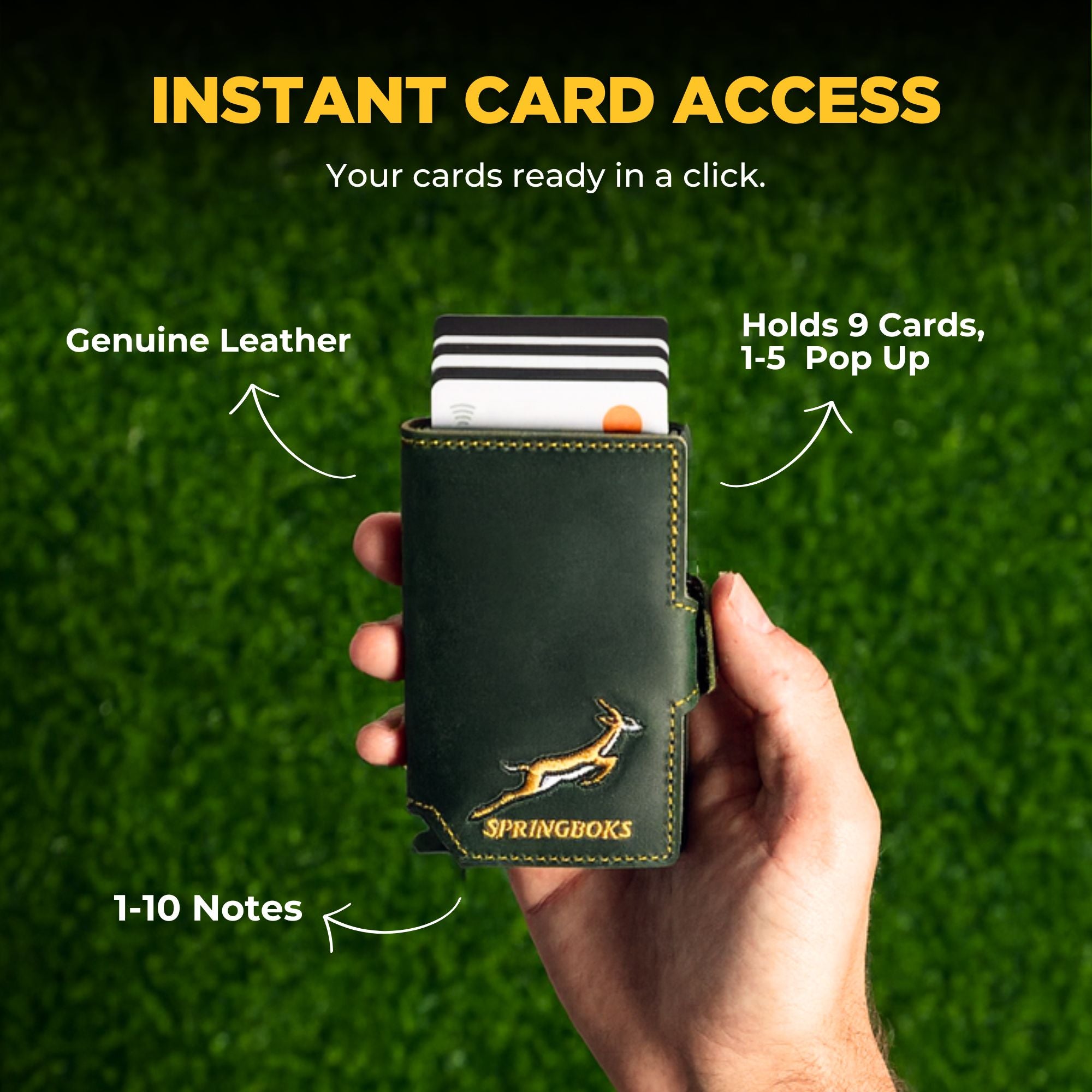 Springbok Pop Up Wallet